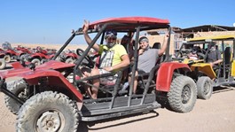 /photos/dailytrip/Safari 5 Titos_52474_lg.jpg